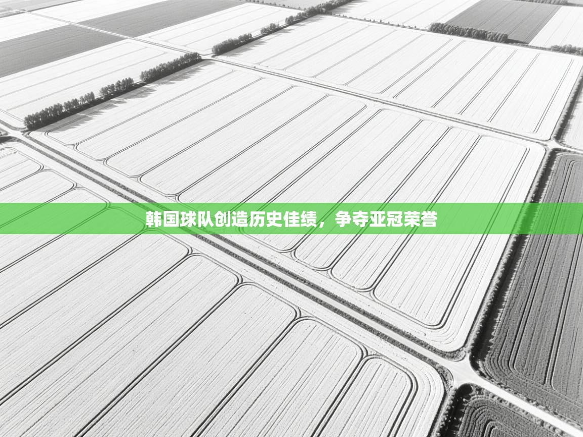 蓝鲸体育直播电脑版-韩国球队创造历史佳绩,争夺亚冠荣誉 第1张
