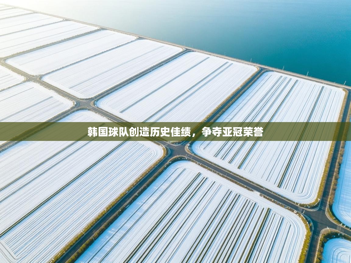 蓝鲸体育直播电脑版-韩国球队创造历史佳绩,争夺亚冠荣誉 第3张