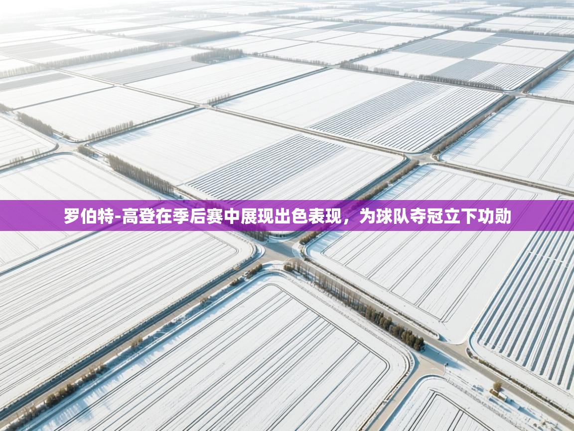 蓝鲸体育app电脑-罗伯特-高登在季后赛中展现出色表现,为球队夺冠立下功勋 第2张