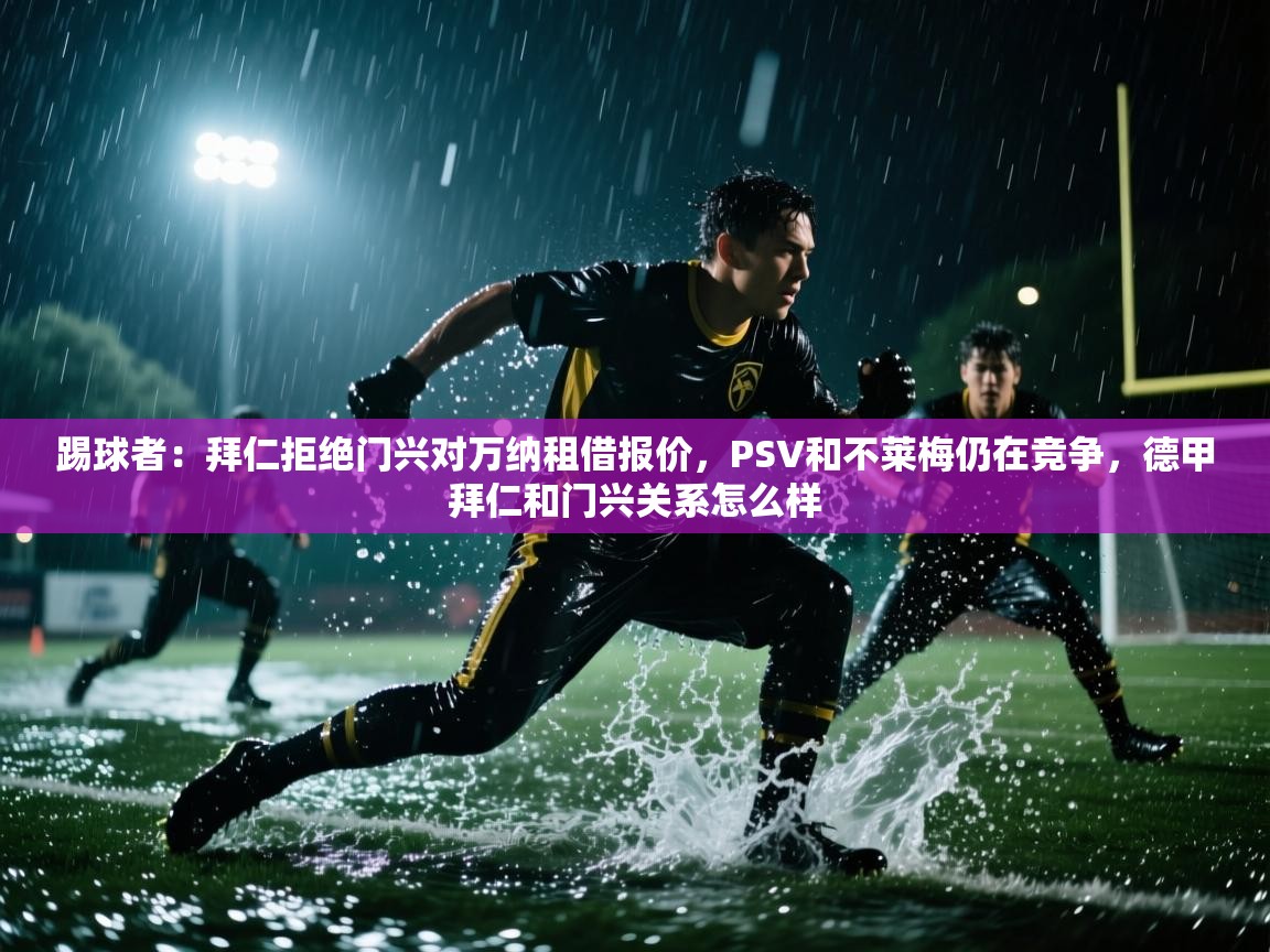 蓝鲸体育网页版-踢球者:拜仁拒绝门兴对万纳租借报价,PSV和不莱梅仍在竞争,德甲拜仁和门兴关系怎么样 第3张
