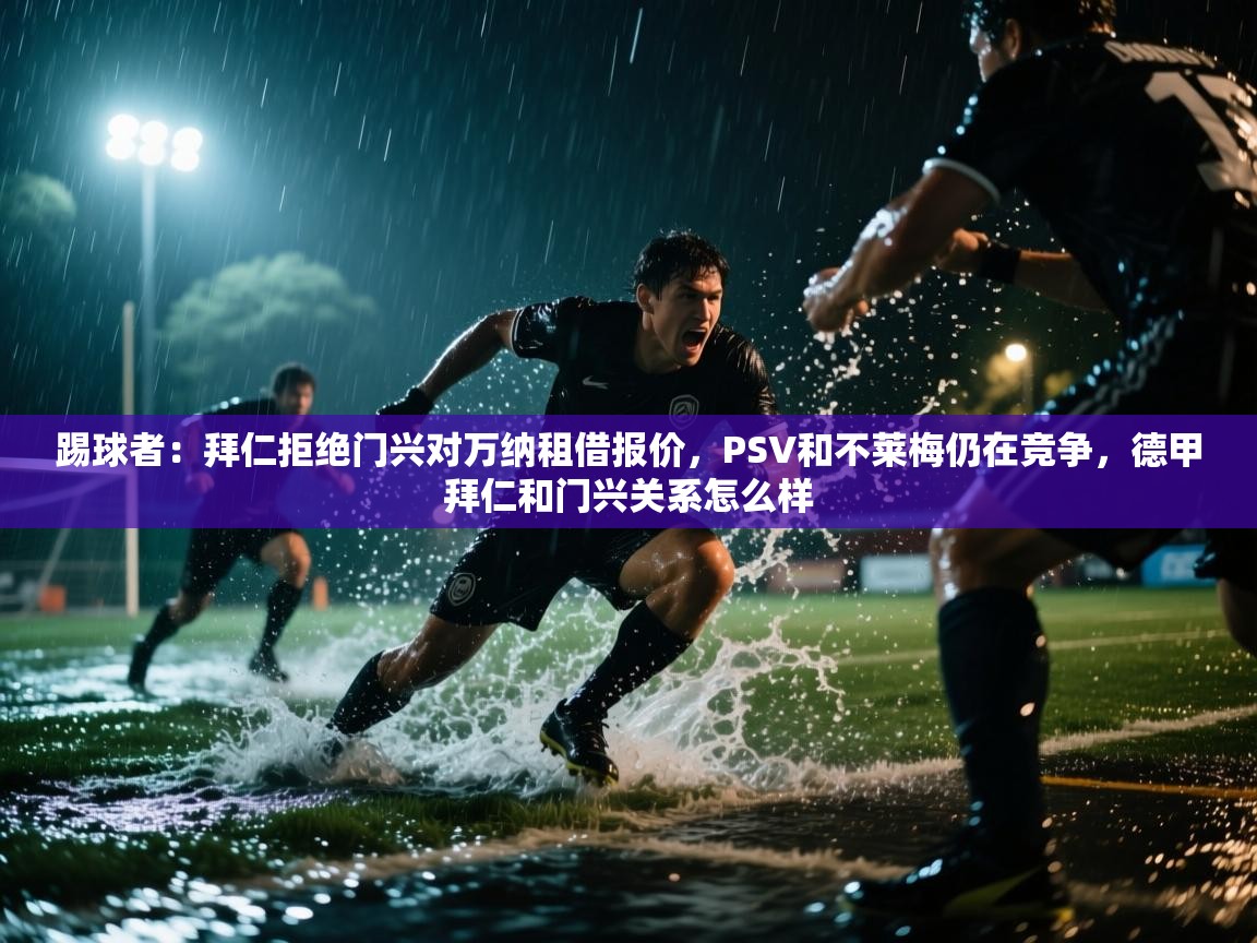 蓝鲸体育网页版-踢球者:拜仁拒绝门兴对万纳租借报价,PSV和不莱梅仍在竞争,德甲拜仁和门兴关系怎么样 第4张