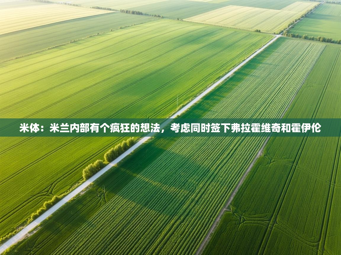 蓝鲸体育直播在线观看-米体:米兰内部有个疯狂的想法,考虑同时签下弗拉霍维奇和霍伊伦 第1张