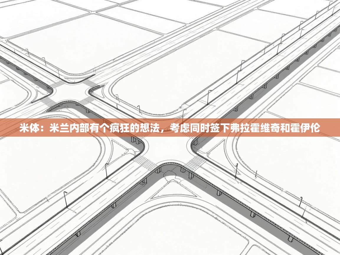 蓝鲸体育直播在线观看-米体:米兰内部有个疯狂的想法,考虑同时签下弗拉霍维奇和霍伊伦 第2张