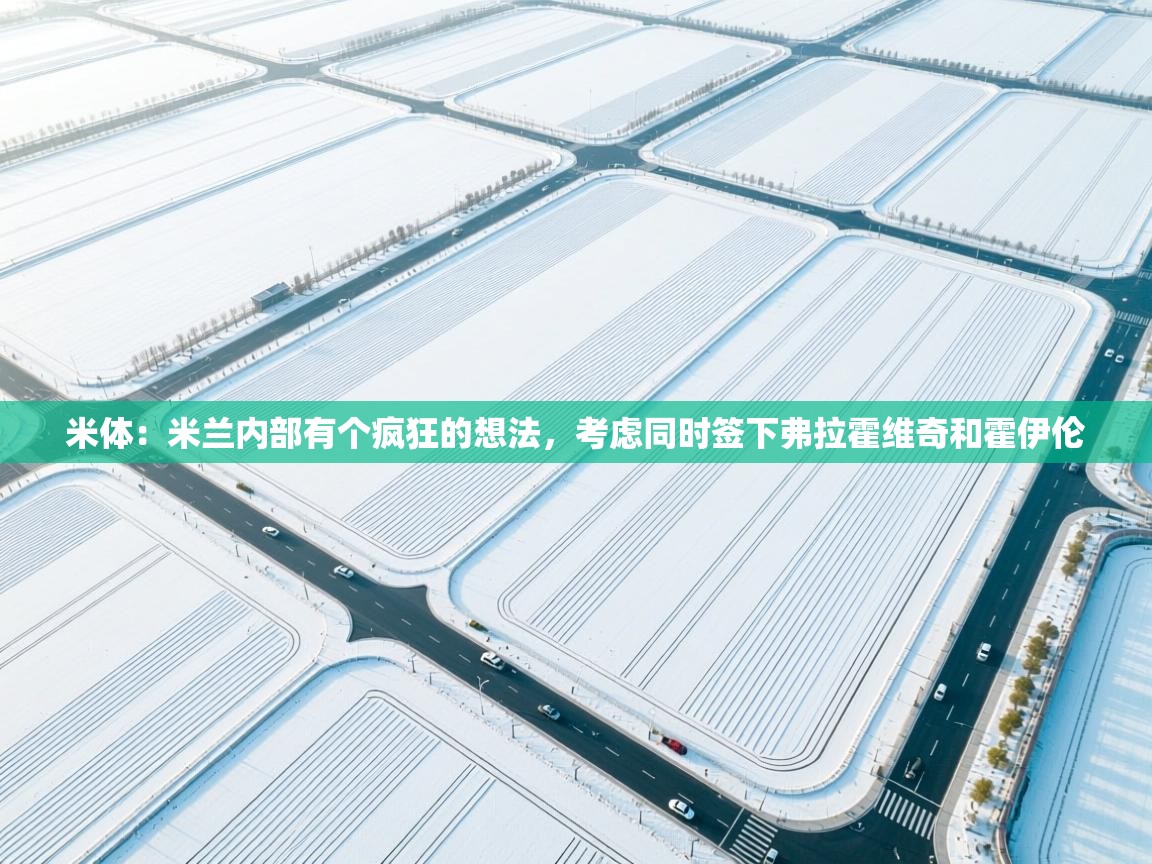 蓝鲸体育直播在线观看-米体:米兰内部有个疯狂的想法,考虑同时签下弗拉霍维奇和霍伊伦 第4张