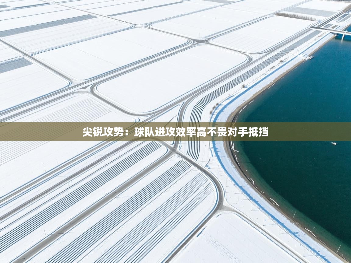 鲸蓝体育app-尖锐攻势：球队进攻效率高不畏对手抵挡  第3张