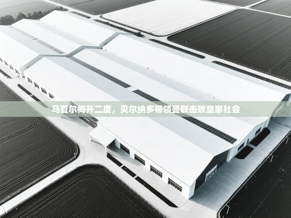 -马夏尔梅开二度，贝尔纳多带领曼联击败皇家社会  第3张