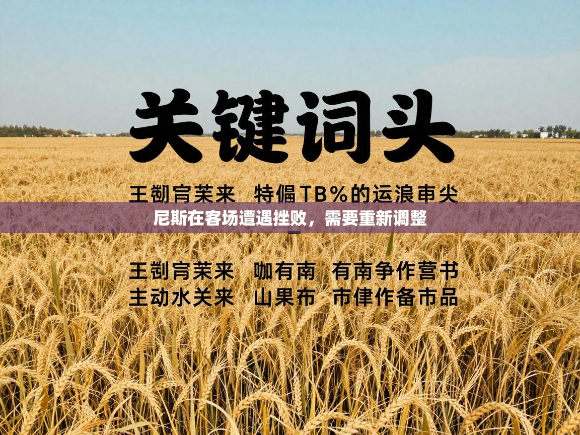 鲸蓝体育官网-尼斯在客场遭遇挫败，需要重新调整  第4张