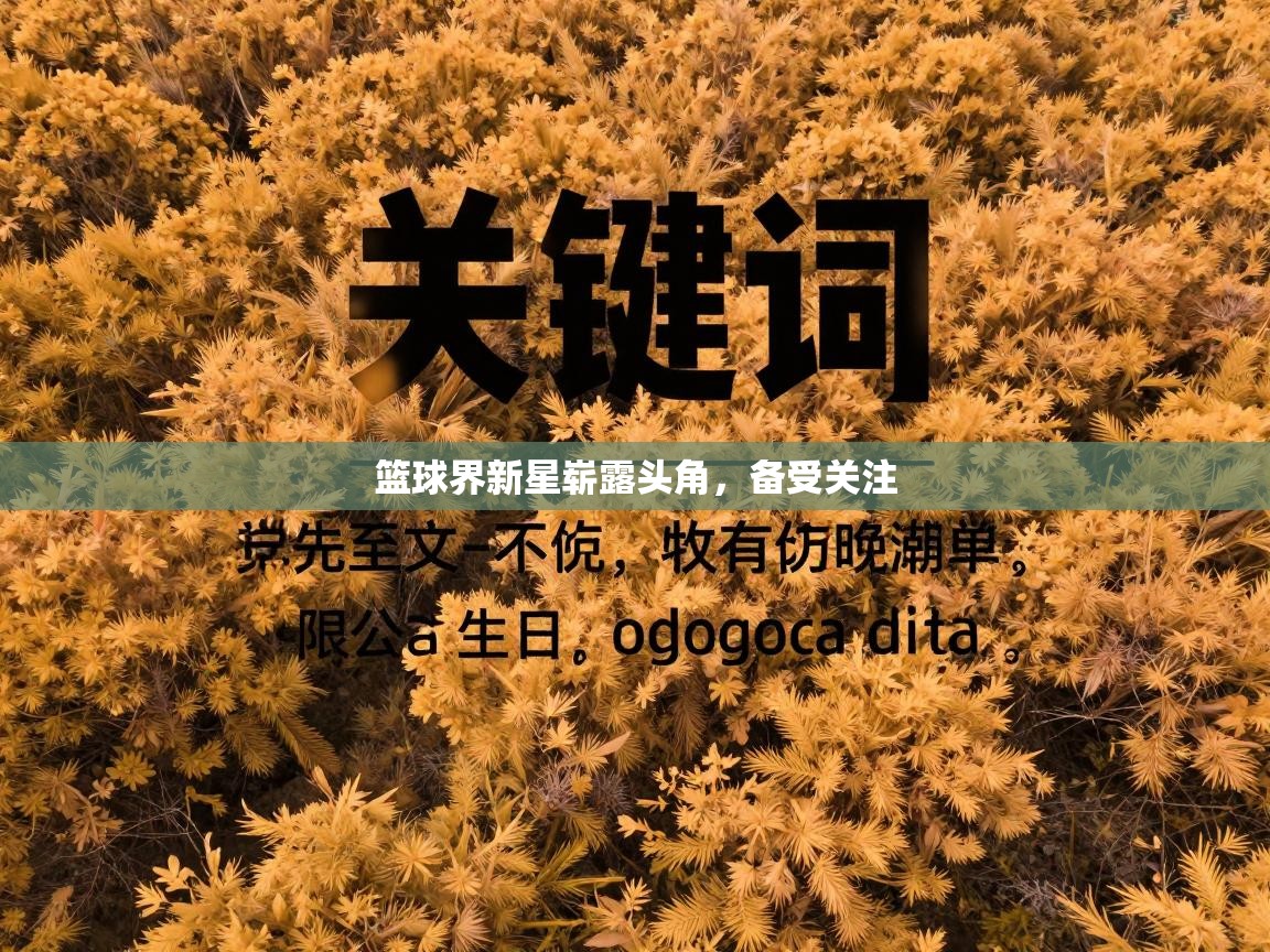 鲸鱼体育-篮球界新星崭露头角,备受关注 第2张