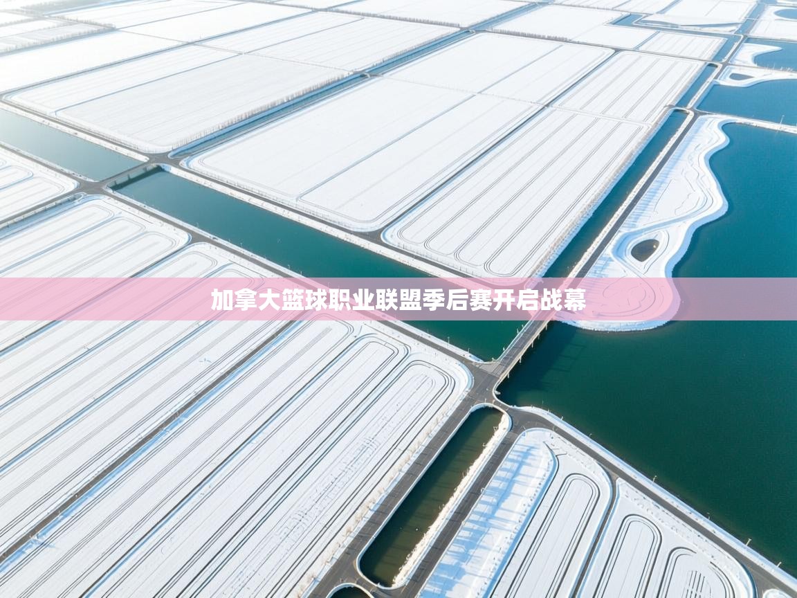 蓝鲸体育直播平台-加拿大篮球职业联盟季后赛开启战幕 第3张
