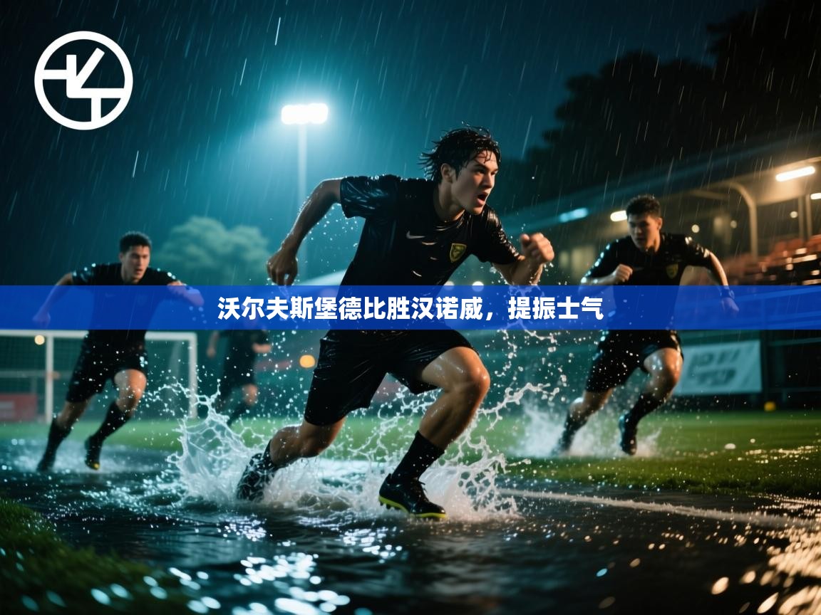 蓝鲸体育在线直播-沃尔夫斯堡德比胜汉诺威，提振士气  第3张