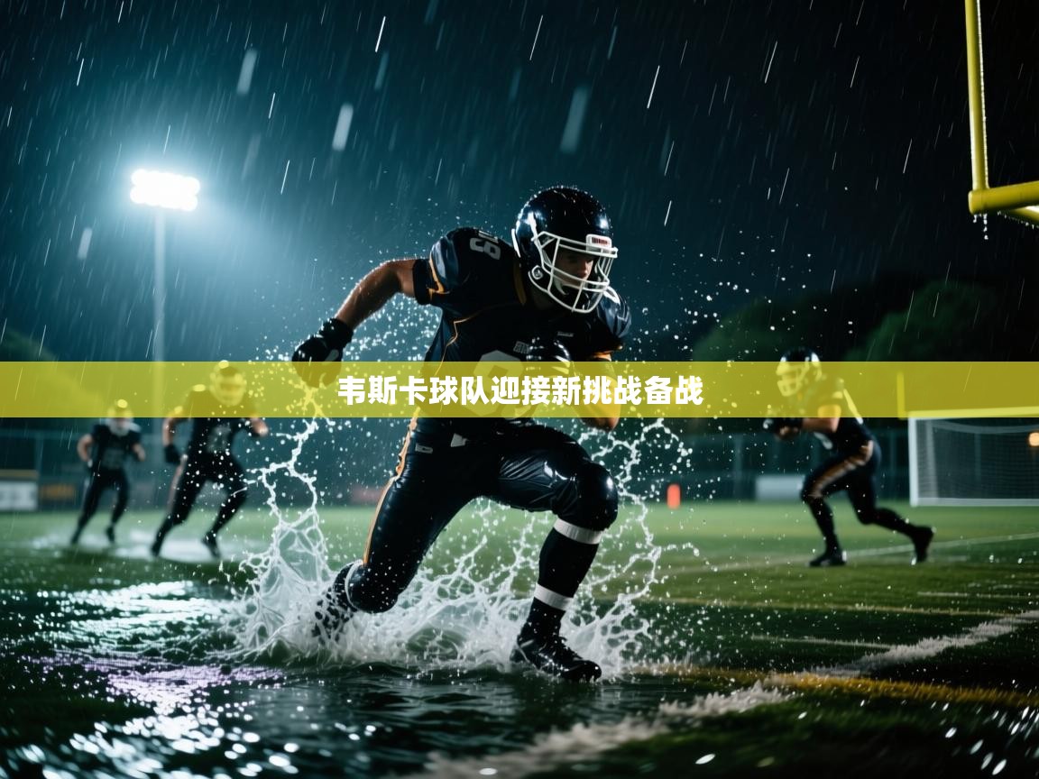 蓝鲸体育app下载官网-韦斯卡球队迎接新挑战备战  第3张