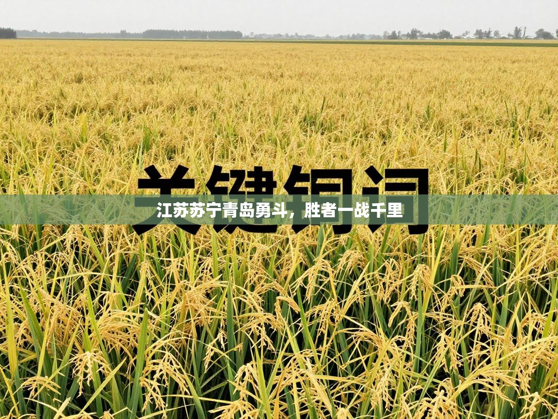 蓝鲸体育app下载官网-江苏苏宁青岛勇斗，胜者一战千里  第1张