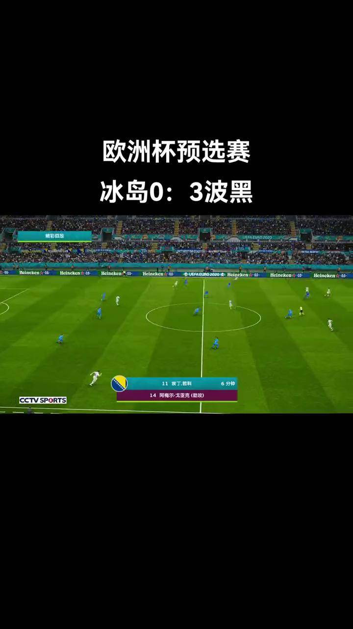波黑队豪取胜利，实现年欧洲杯决赛圈
